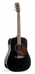 Norman Protege B18 Cedar Black Акустическая гитара