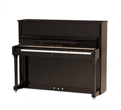 W.Steinberg 190049-1CK Performance P125E Пианино акустическое, черное, фурнитура хром