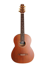   NewTone N17GASDB №17 Акустическая гитара