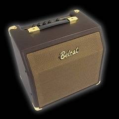 Belcat Acoustic-15C Комбоусилитель для акустической гитары