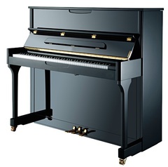 Н.Рубинштейн НР 118 Акустическое пианино