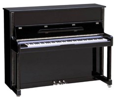 W.Steinberg 190014-1MK Performance P118 Пианино акустическое, черное, латунная фурнитура