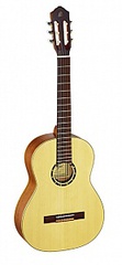 Ortega R121SN Family Series Классическая гитара, размер 4/4, узкий гриф, матовая, с чехлом